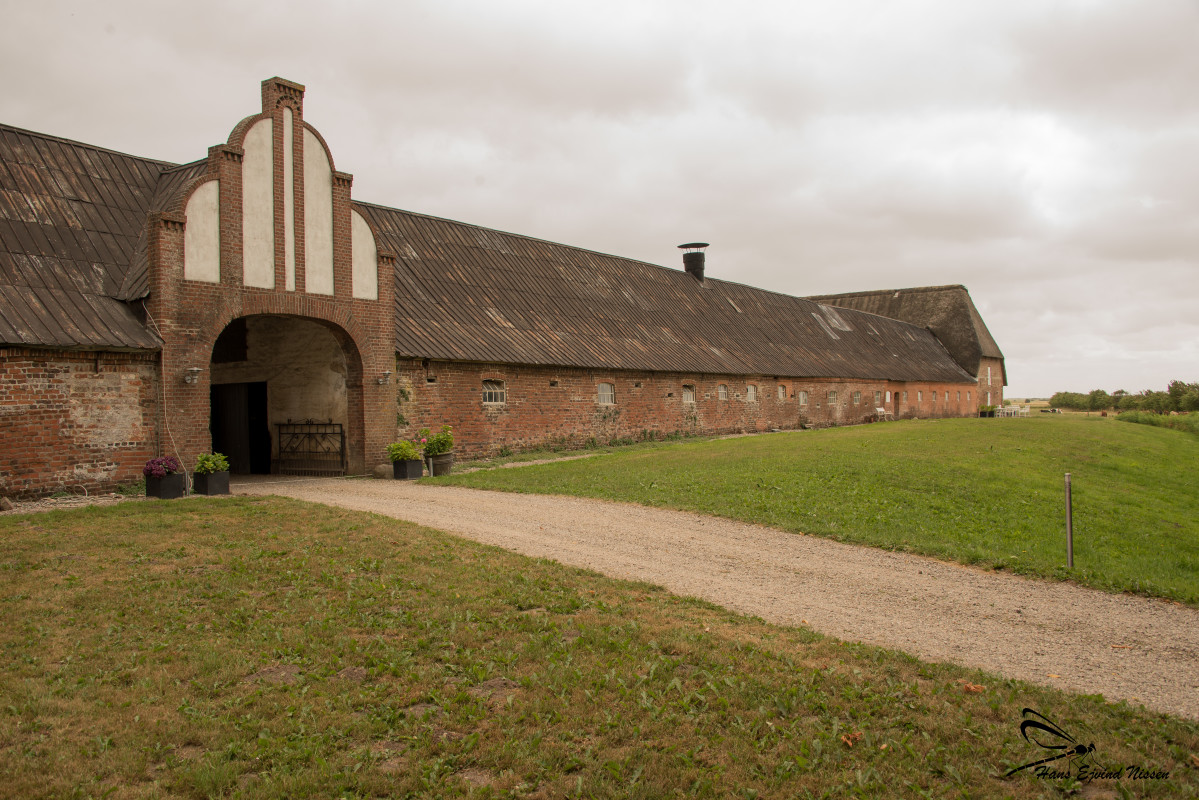 Trøjborg Slotruin 4 – Hans Ejvind Nissen