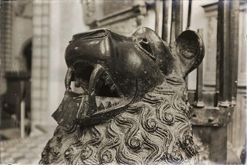 Lion  – Jimmi Lützhøft