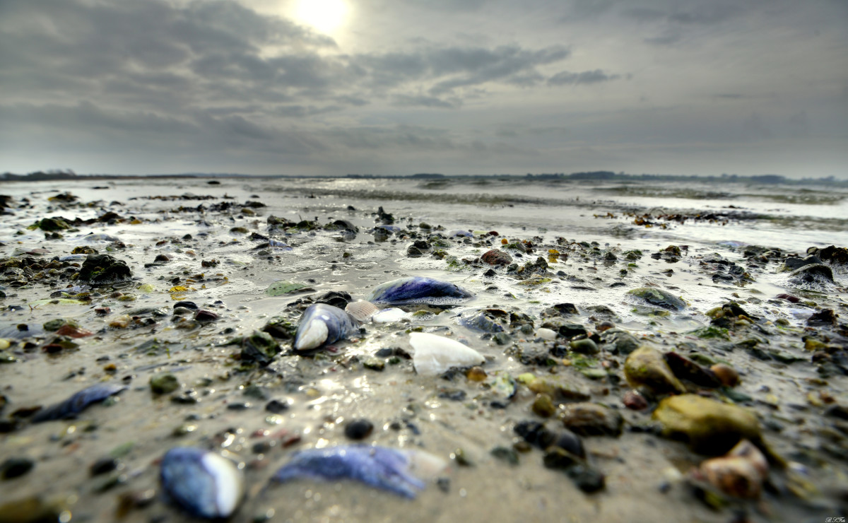 Stranden... – Benthe Sørensen