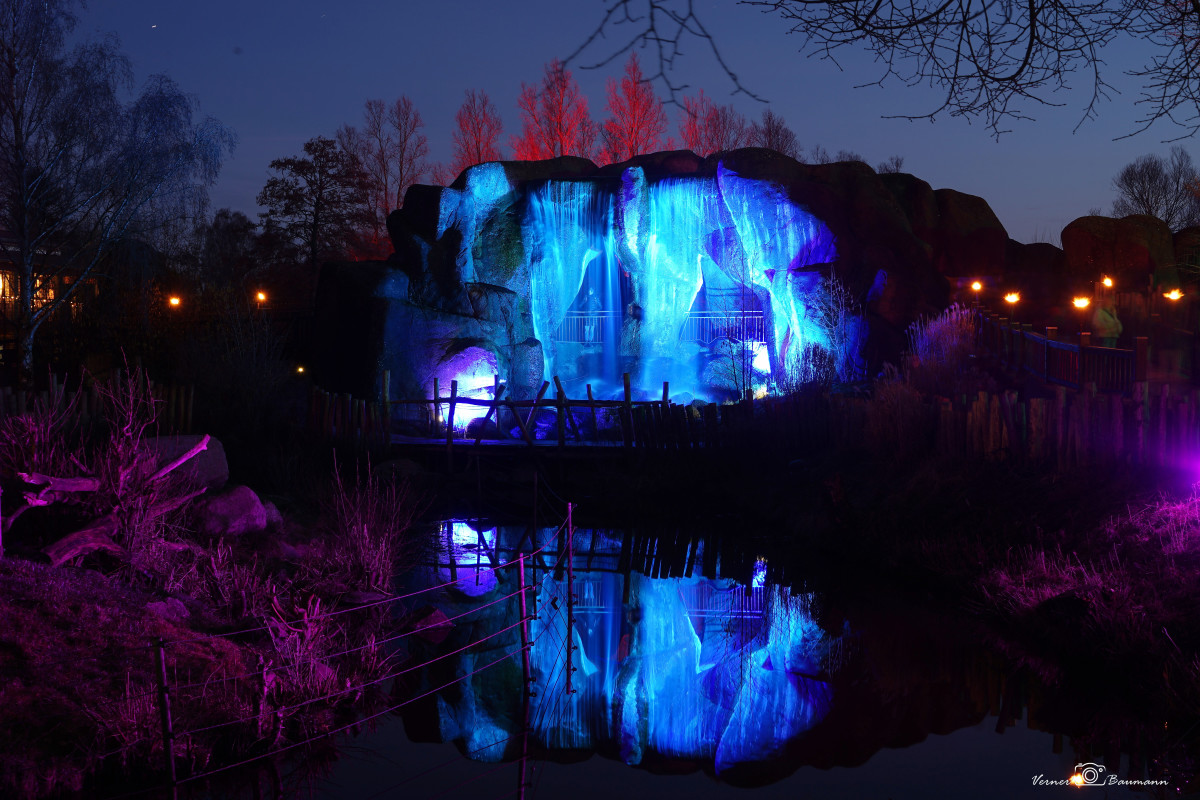 Magisk lys Odense Zoo – verner baumann