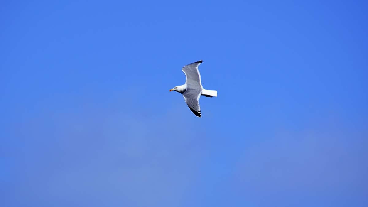 7b8610fe-2fa4-4e90-8463-f4e11d6713c7_rw_1200 – Jan Rohwedder
