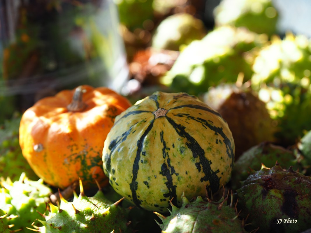 Hallowen... – Jeanette Jensen