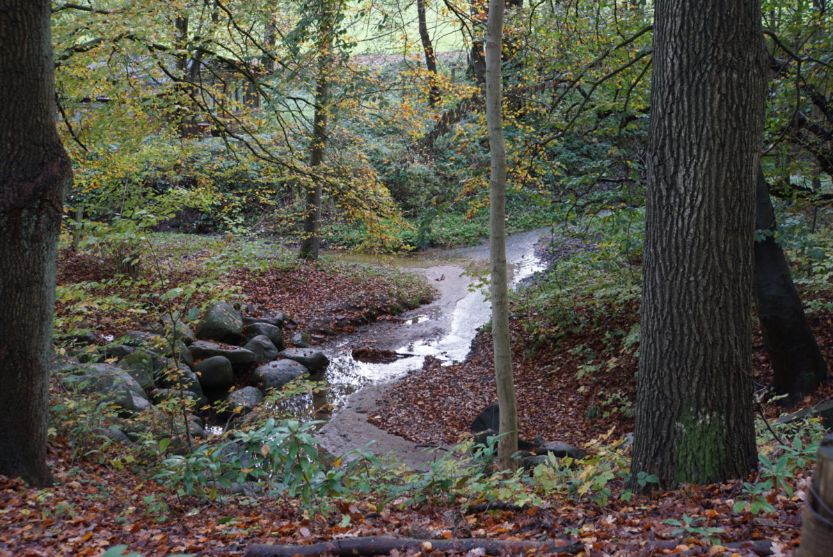DSC07748 – Jytte Rosenberg