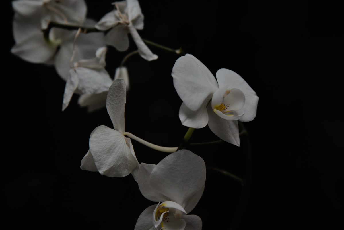 DSC_1333 – Jan Rohwedder