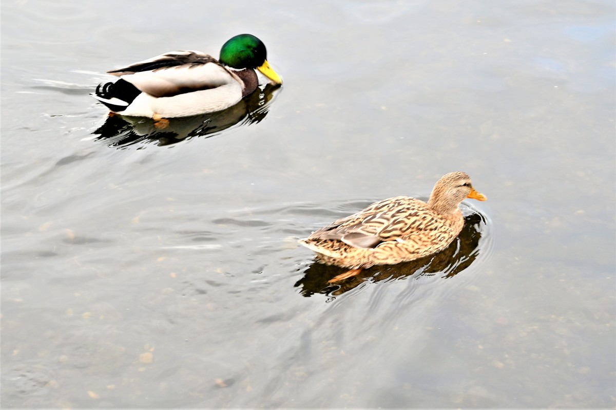 _DSC0192 – Jan Rohwedder