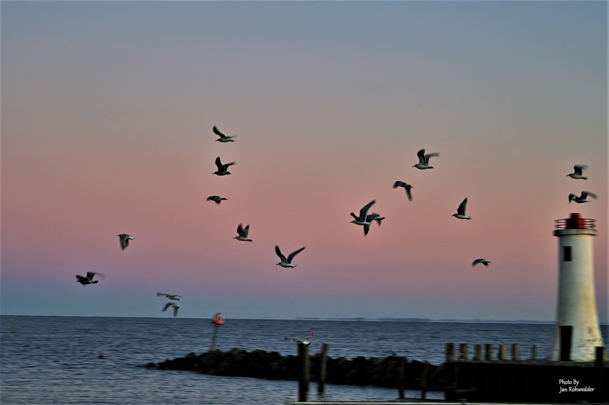 _DSC0470 – Jan Rohwedder