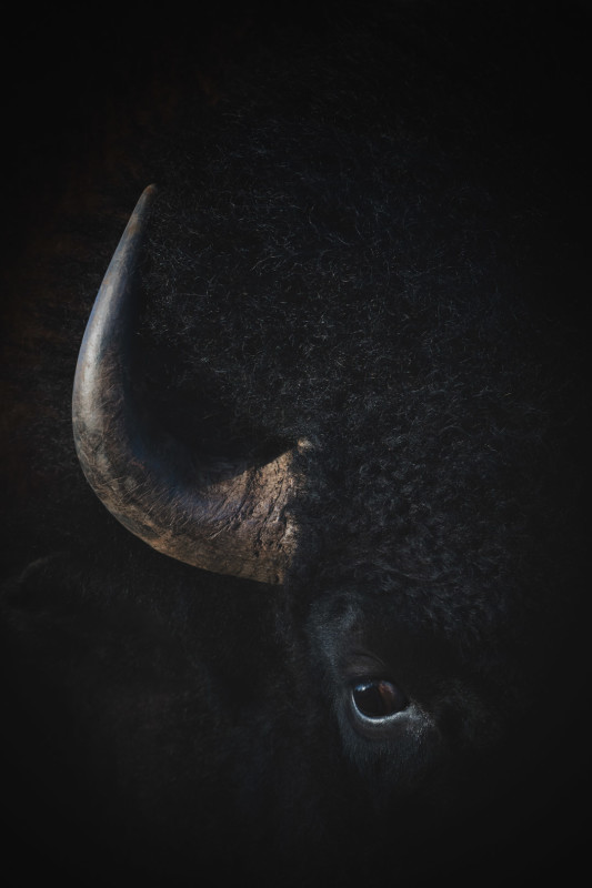 Black Power – Thomas Eckhoff-Nissen