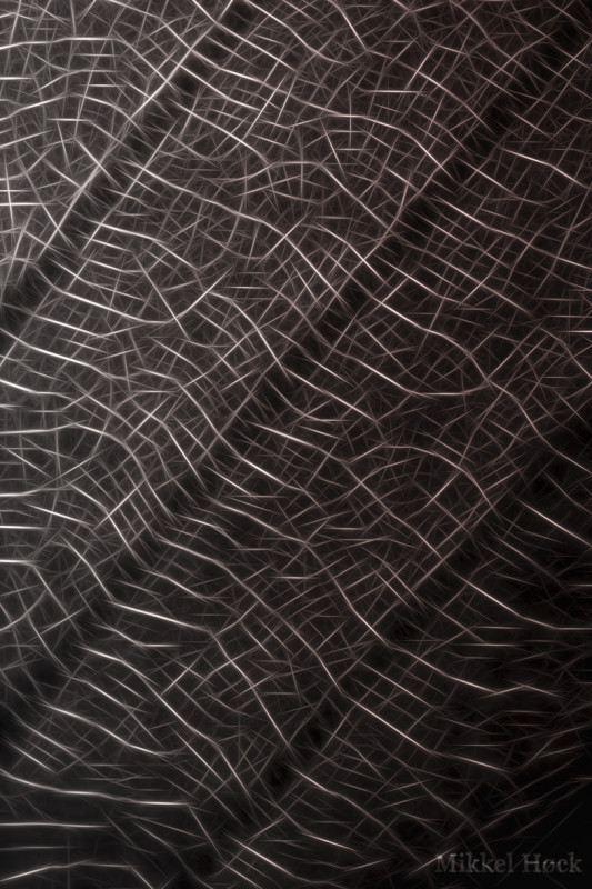 Sparkle – Mikkel