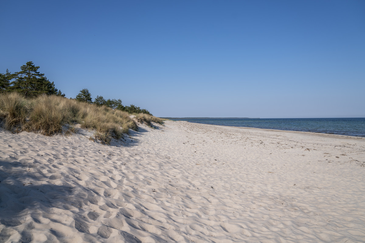 Strand – Kim Thøisen