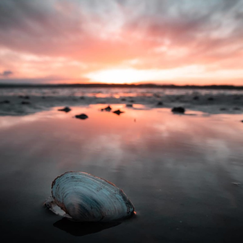 Reflections – Thomas Eckhoff-Nissen