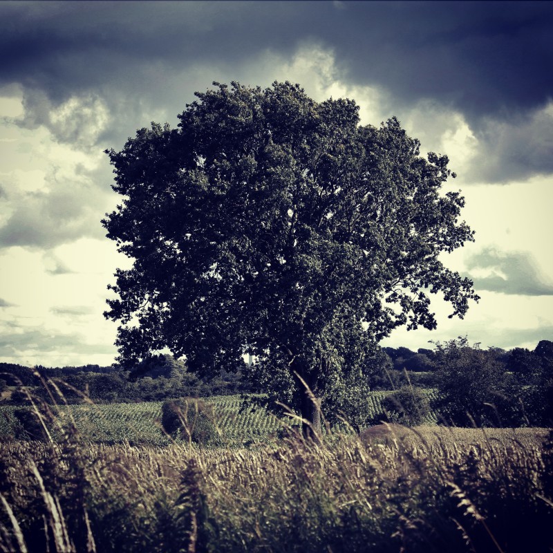 Dansk Sommer – Karina Lorenzen