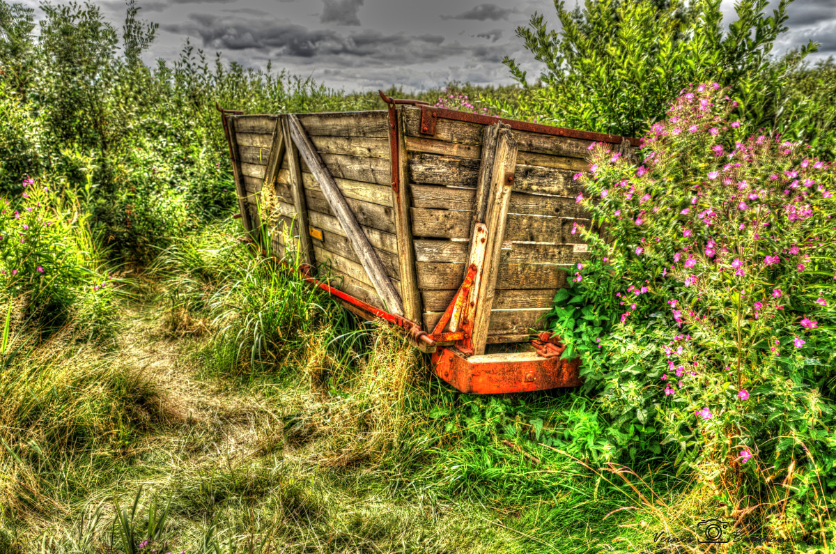 Gammel torflore i Lille Vildmose HDR – verner baumann