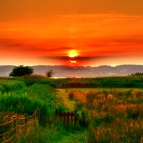 Solnedgang