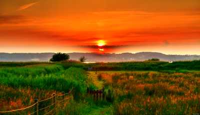 Solnedgang