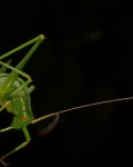 20180706_153803