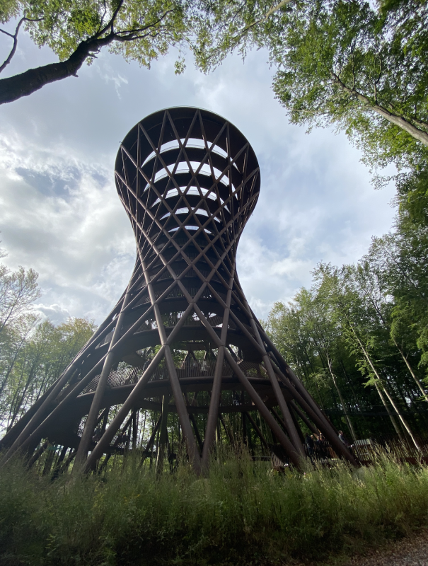 skovtårnet – alexander holzmann
