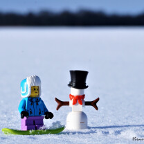 Vinter sjov