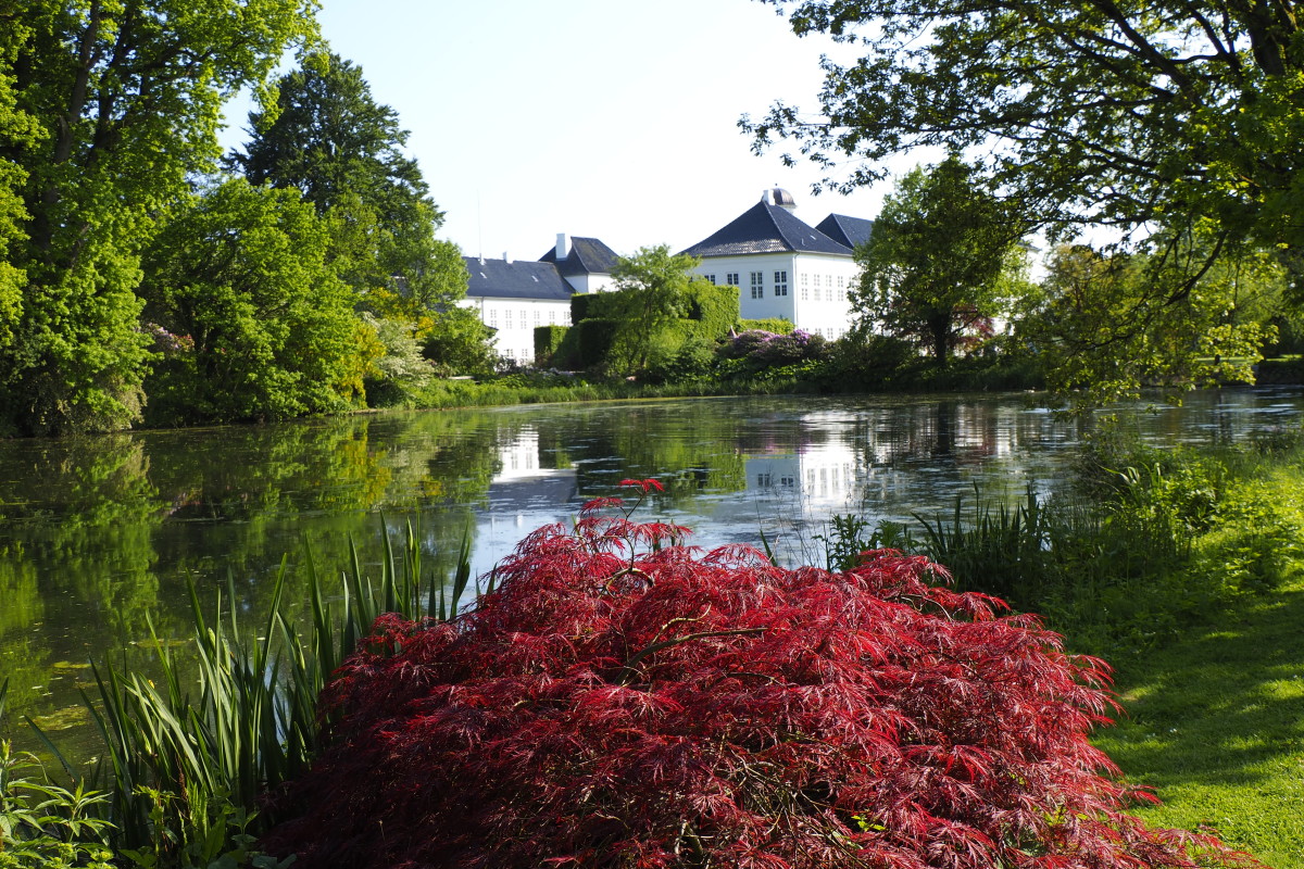 Natur_2021.06.04  (21) – Lone Tranberg Hansen