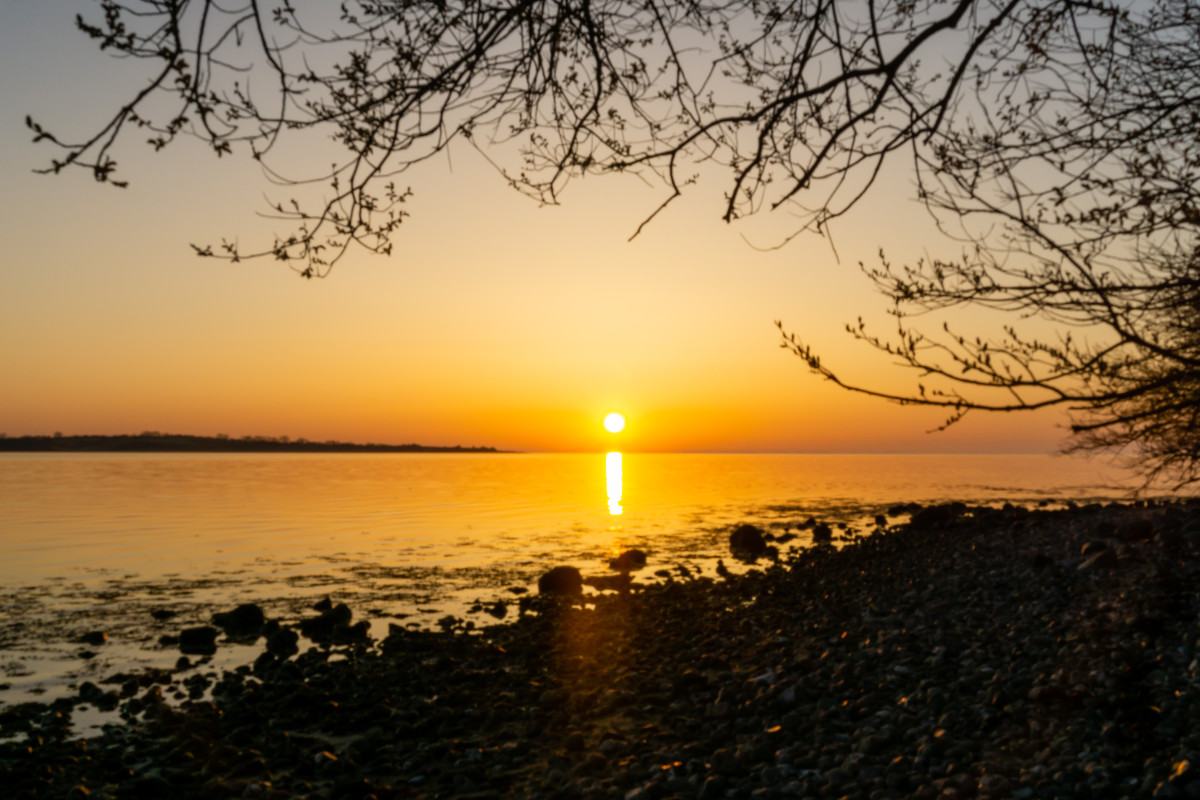 Loddenhøj strand, 20.4.21-70 – Tina Skovmøller Alstrup