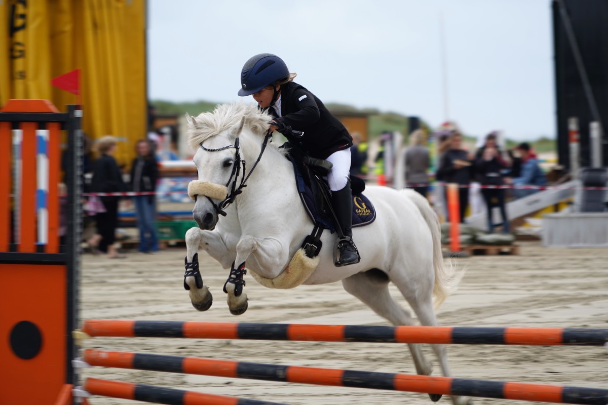 Hop min hest. – verner baumann