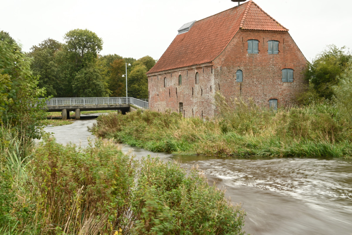 Visemøllen – Ole Dam