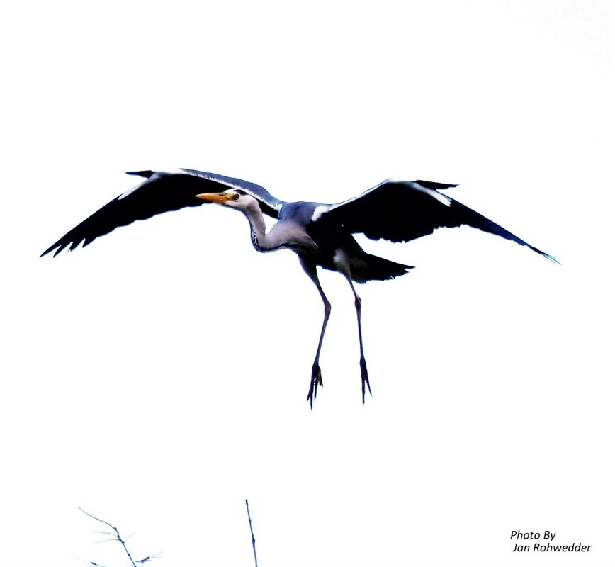_5270032 – Jan Rohwedder