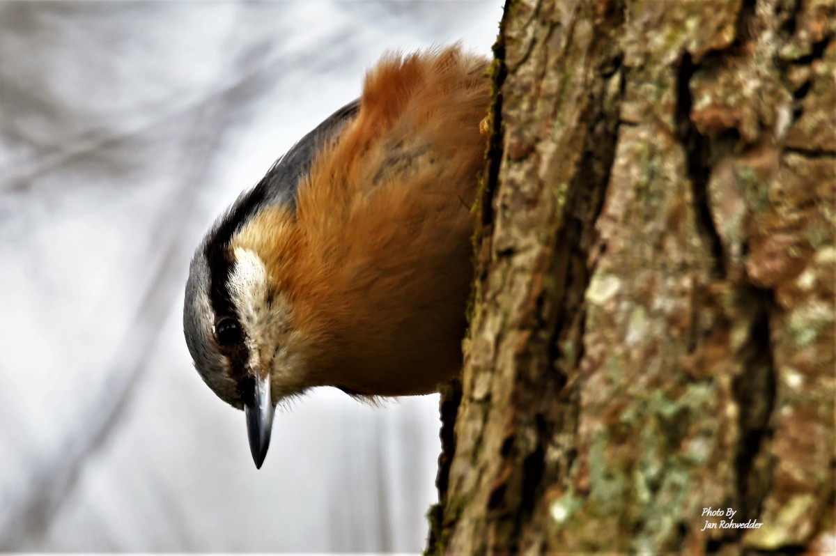 DSC_0131 – Jan Rohwedder