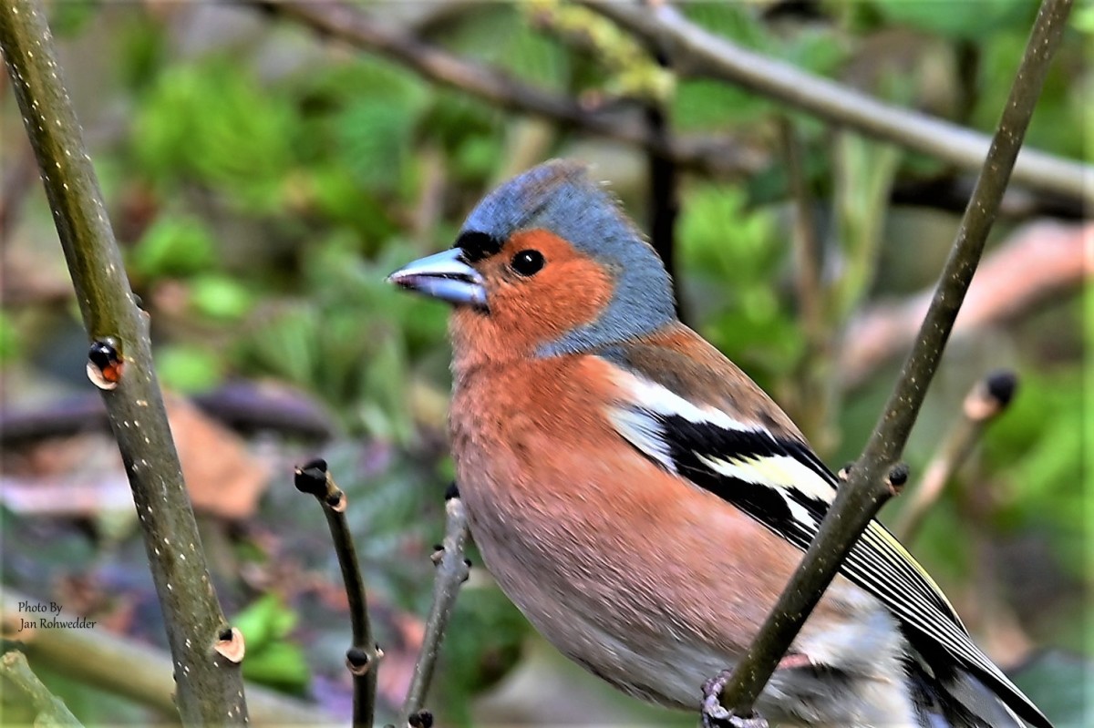 DSC_3262 – Jan Rohwedder