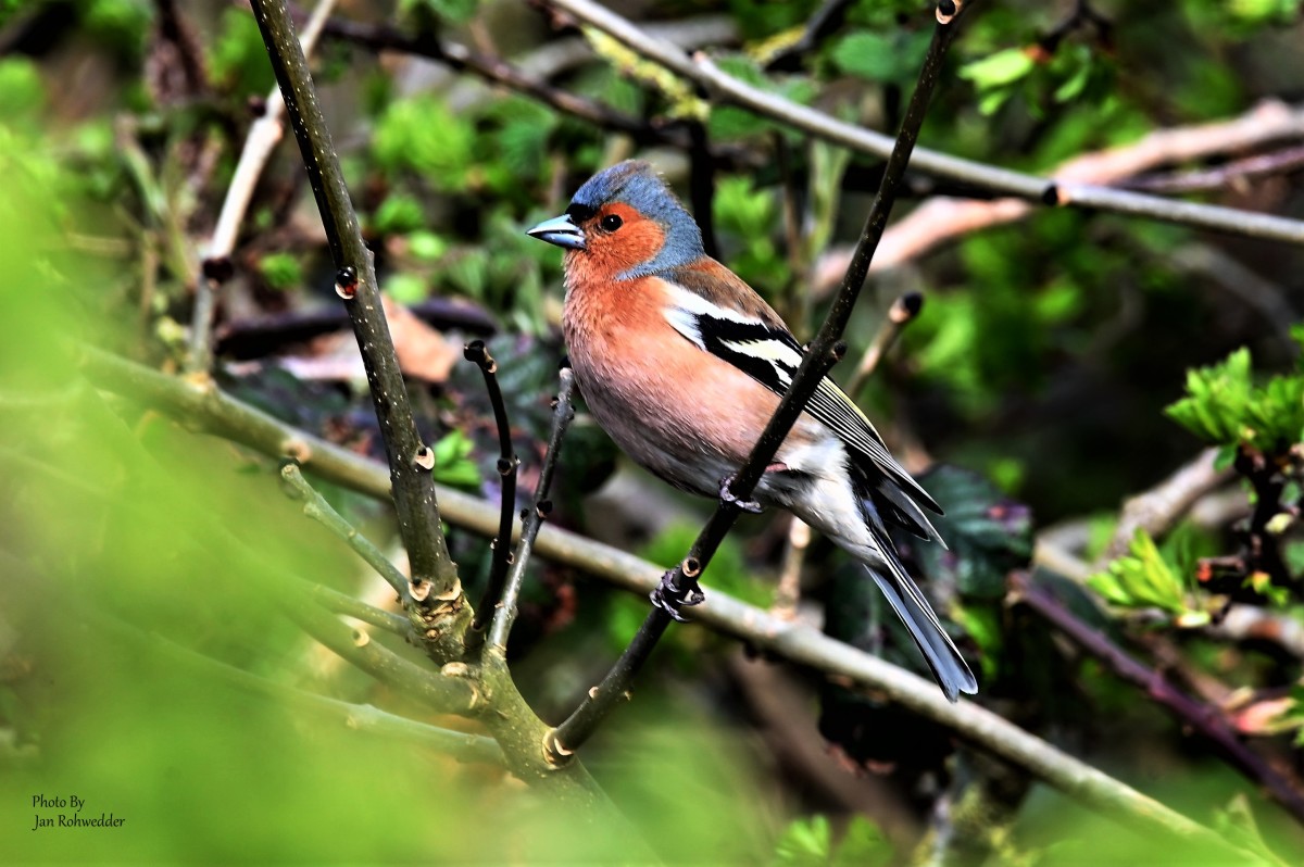 DSC_3263 – Jan Rohwedder