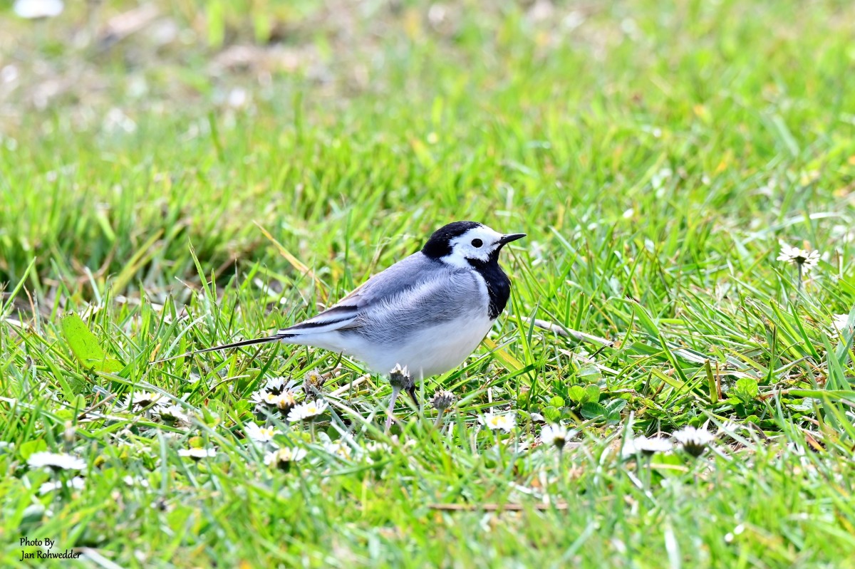 _DSC6109 – Jan Rohwedder