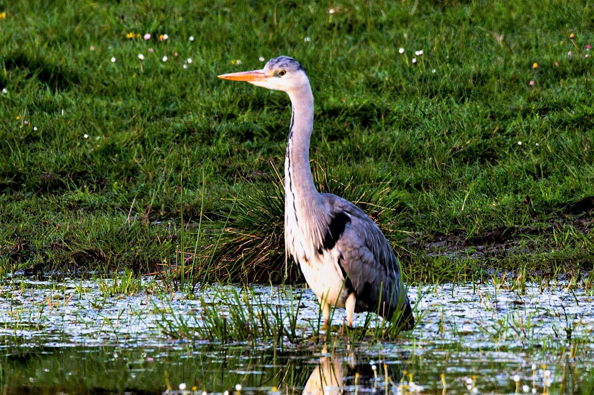 DSC_6692 – Jan Rohwedder