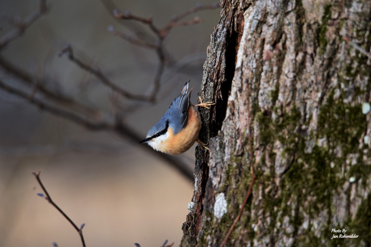 _DSC5666 – Jan Rohwedder