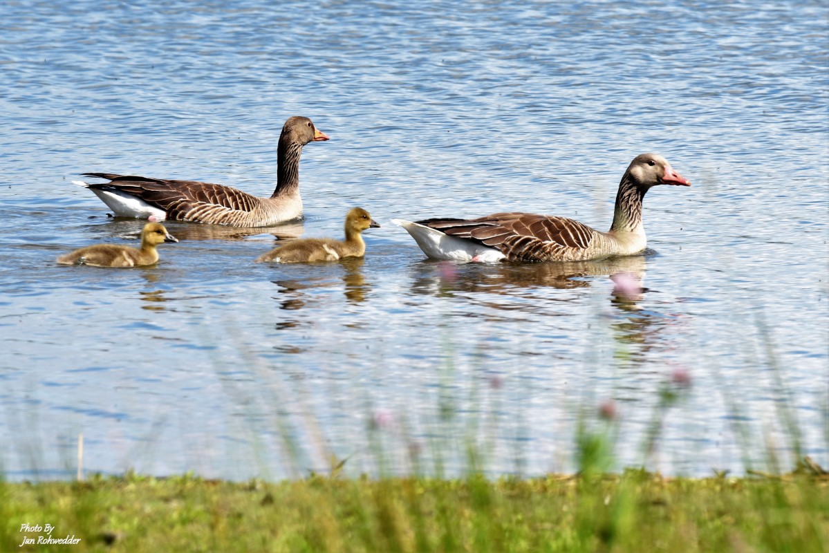 _DSC2385 – Jan Rohwedder
