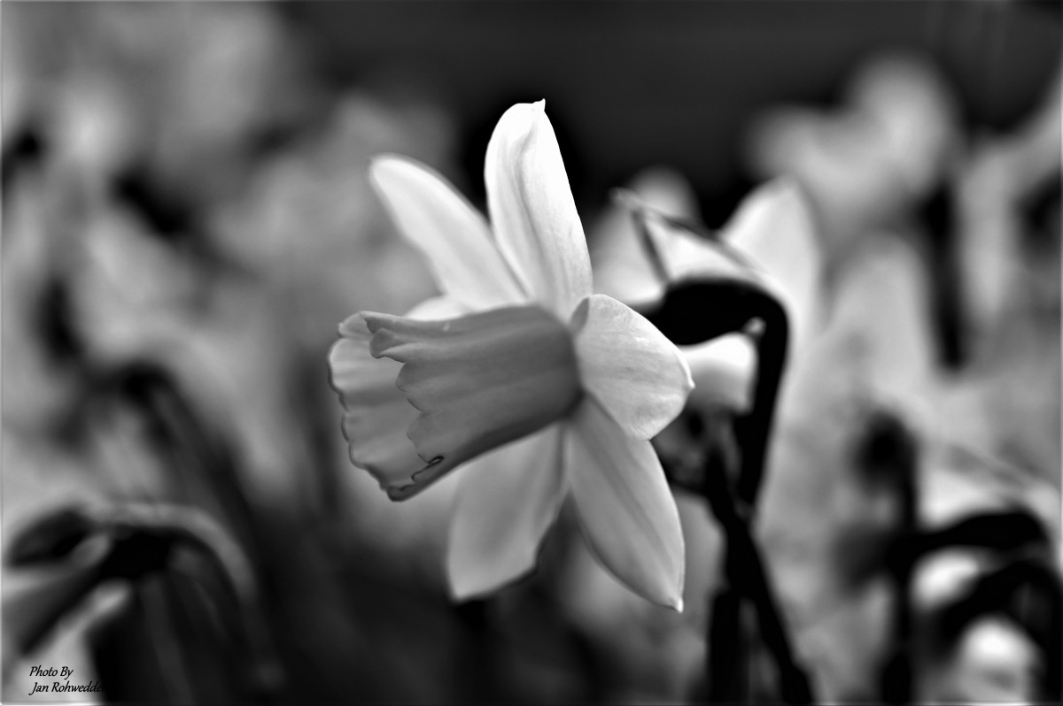 _DSC1563 – Jan Rohwedder