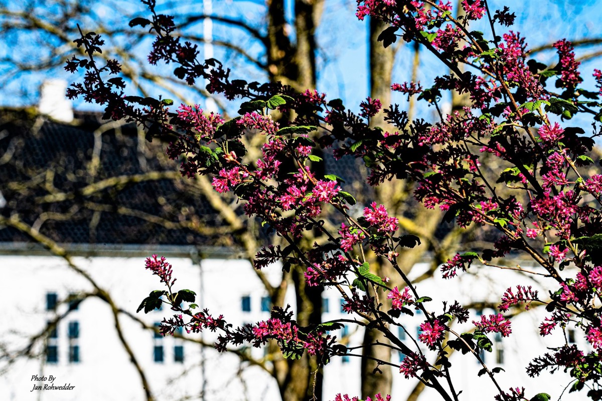 _DSC5252 – Jan Rohwedder