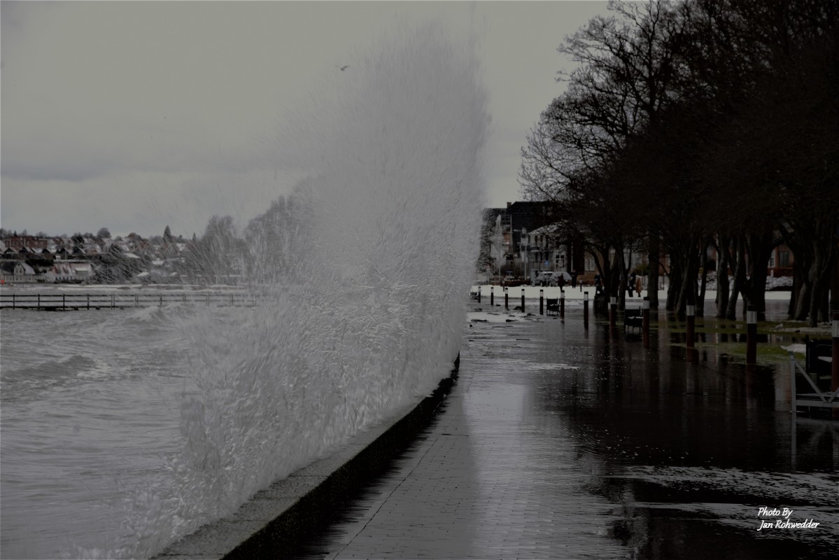 _DSC4622 – Jan Rohwedder