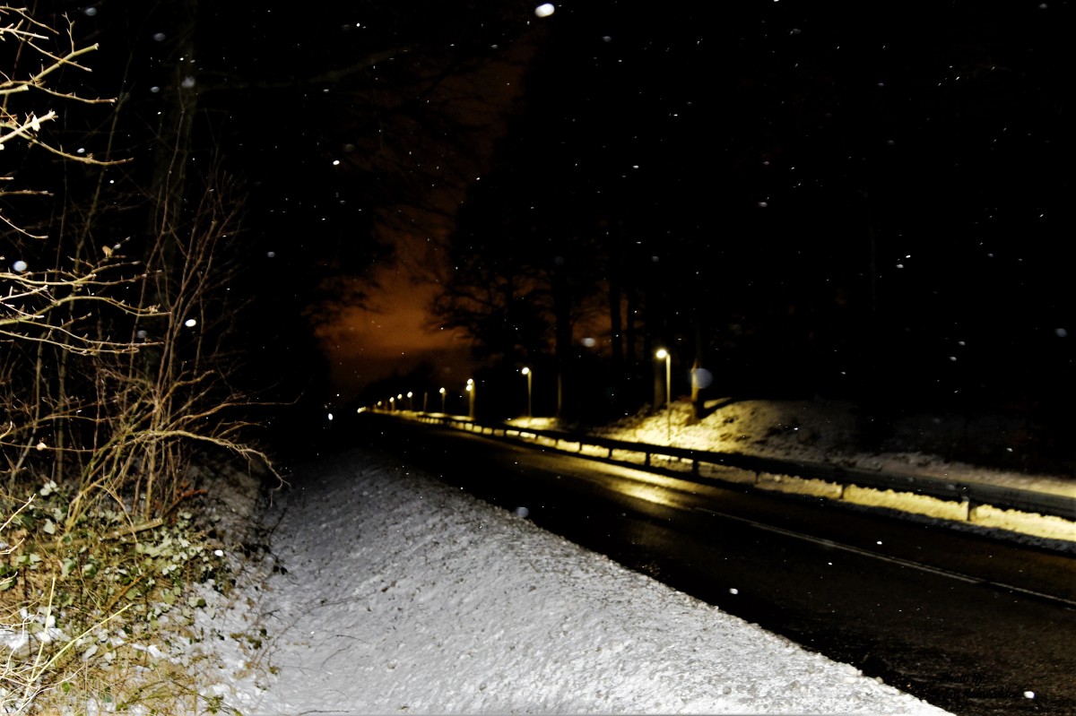 _DSC5157 – Jan Rohwedder