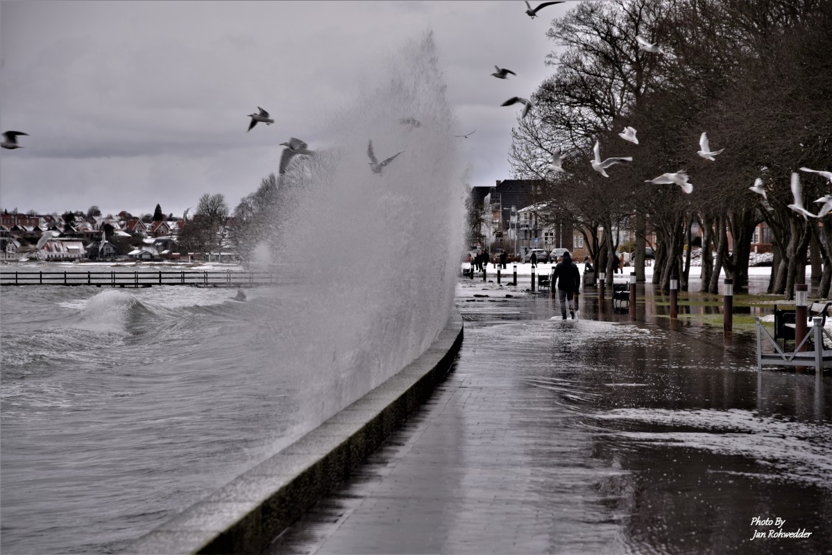 _DSC4667 – Jan Rohwedder