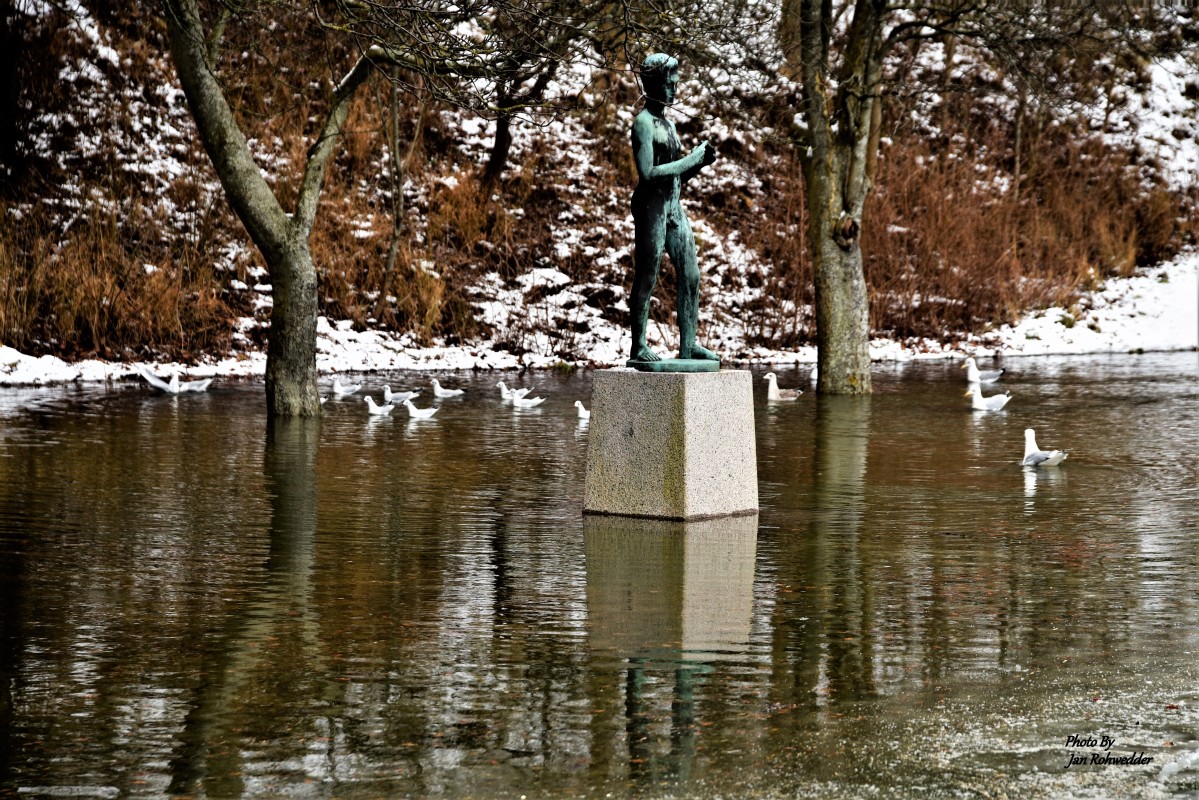 _DSC4785 – Jan Rohwedder