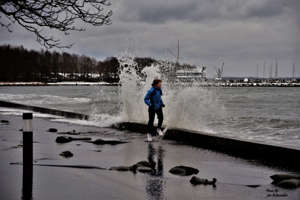 _DSC4929 – Jan Rohwedder