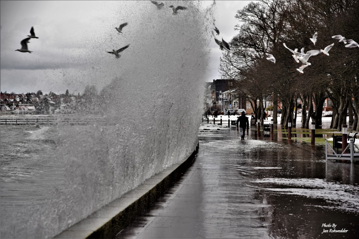 _DSC4669 – Jan Rohwedder