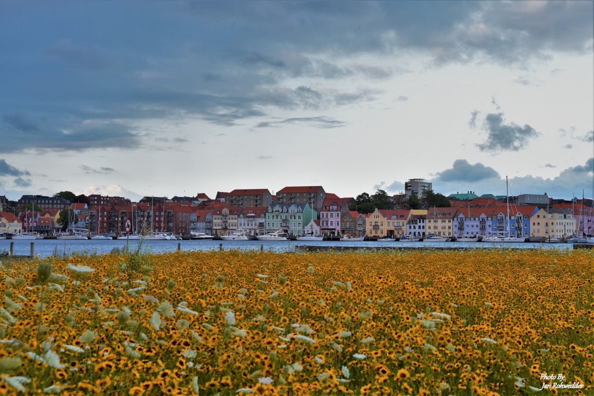 _DSC7873 – Jan Rohwedder
