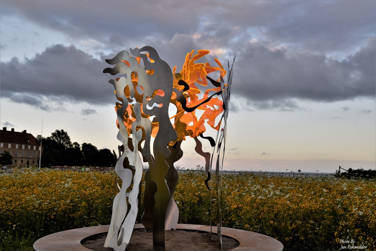 _DSC7870 – Jan Rohwedder