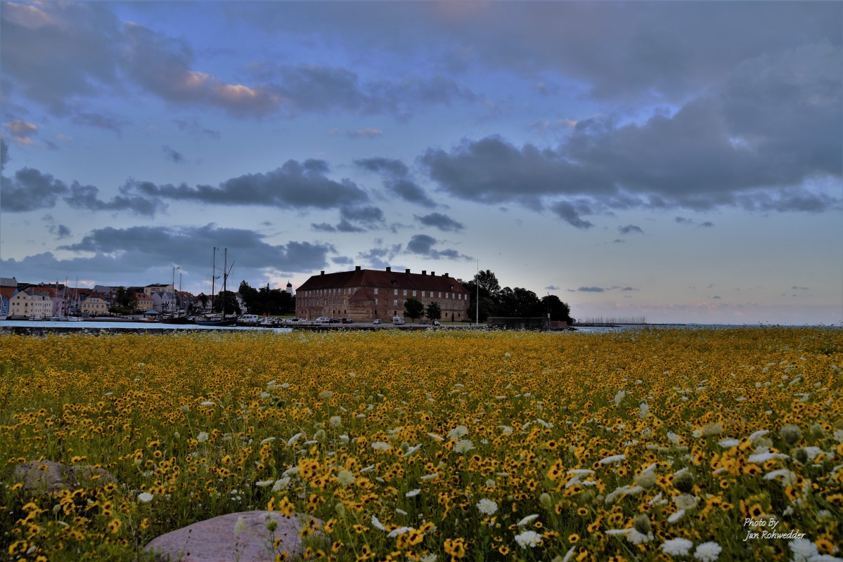 _DSC7867 – Jan Rohwedder