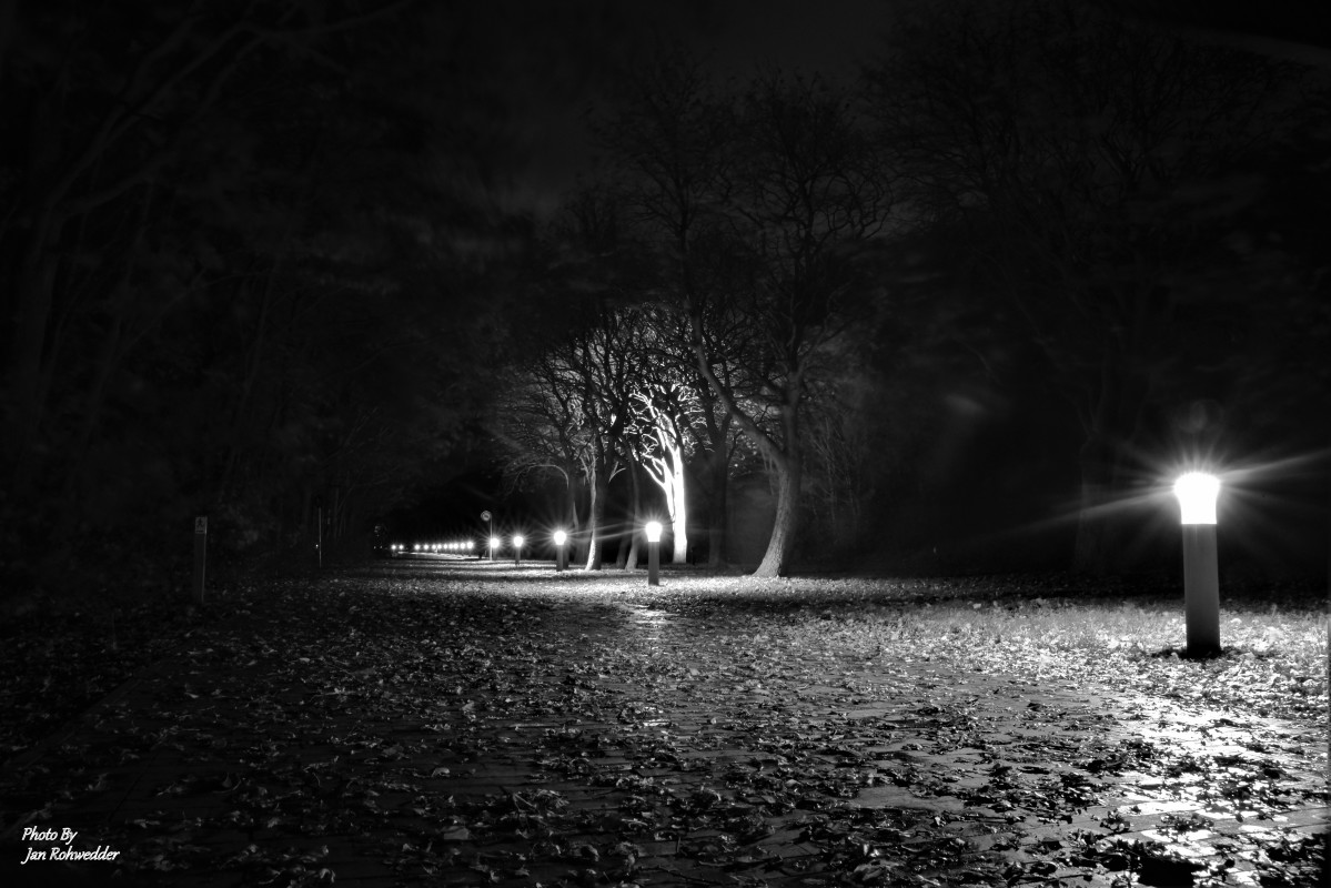DSC_4791 – Jan Rohwedder