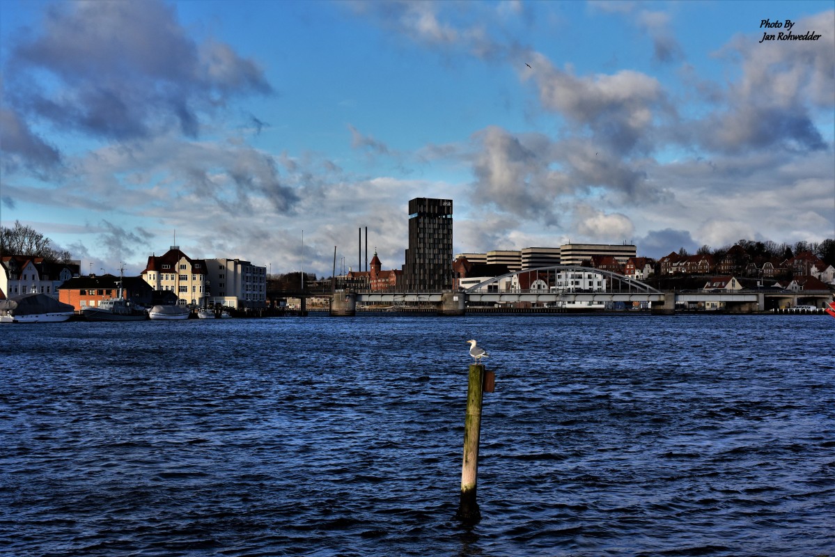 DSC_0456 – Jan Rohwedder