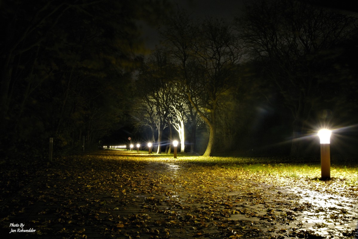 DSC_4790 – Jan Rohwedder