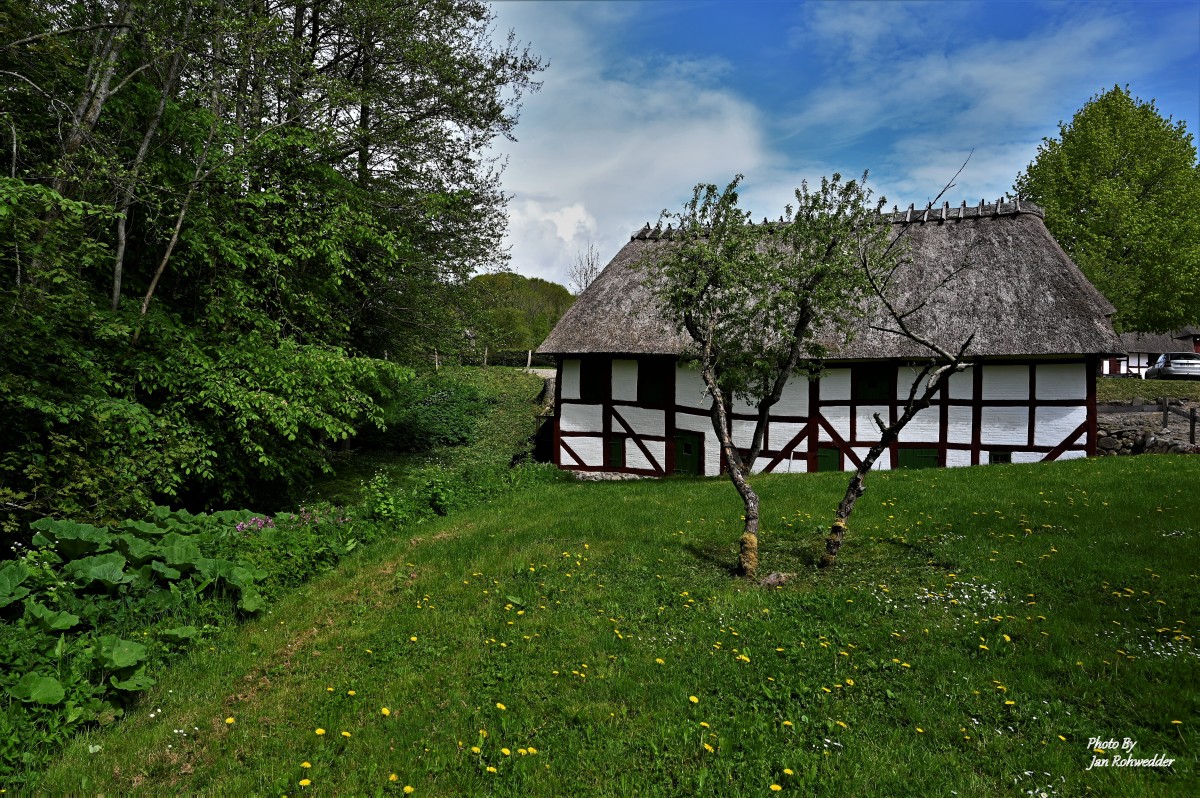 _DSC8365 – Jan Rohwedder