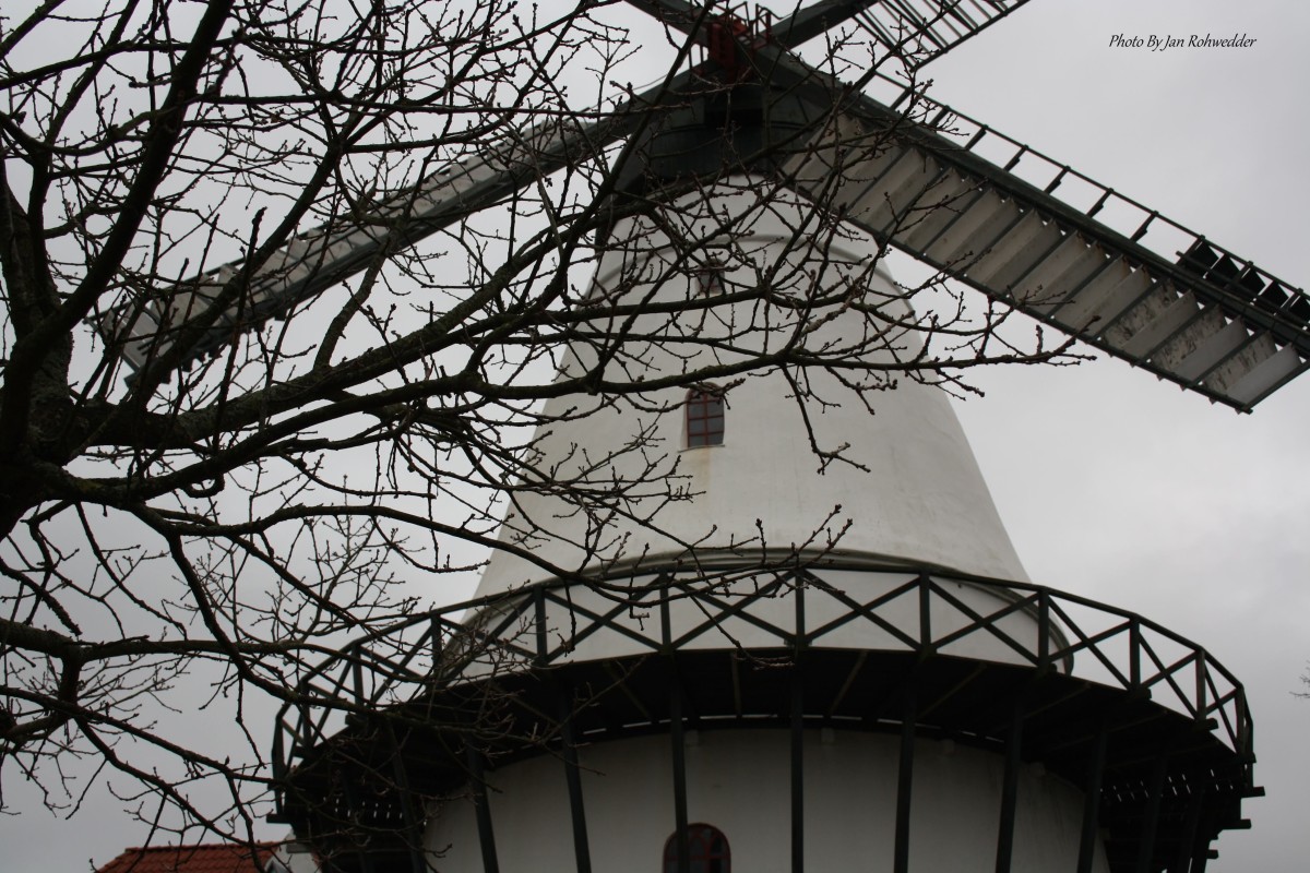 IMG_0026 – Jan Rohwedder
