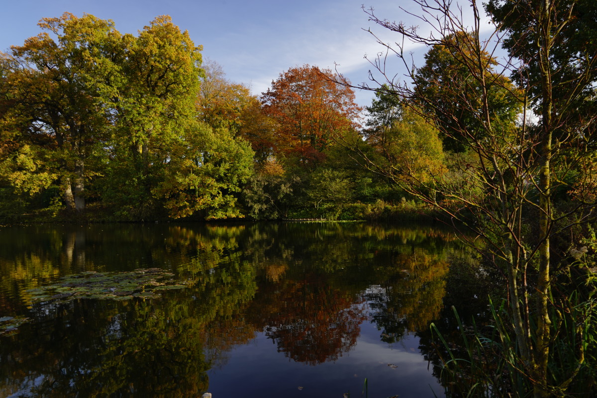 _DSC4615 – Conny Ernst